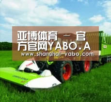 关于亚博体育
