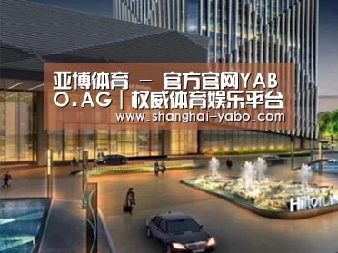 案例展示二