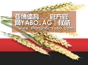 亚博体育 - 官方官网YABO.AG｜权威体育娱乐平台