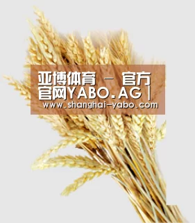 亚博体育 - 官方官网YABO.AG｜权威体育娱乐平台