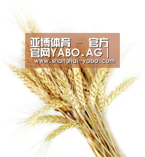 亚博体育 - 官方官网YABO.AG｜权威体育娱乐平台